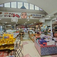 道の駅 とよとみ