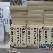 道の駅 とよとみ