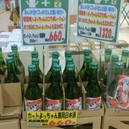道の駅 とよとみ