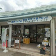 道の駅 とよとみ