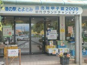 道の駅 とよとみ
