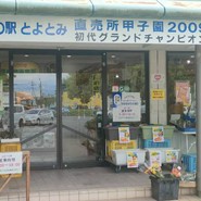 道の駅 とよとみ