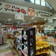 道の駅 とよとみ