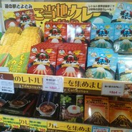 道の駅 とよとみ