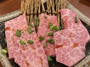 コチカル