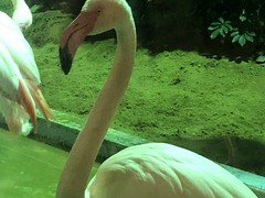 レストランメヒコ　守谷店