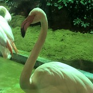 レストランメヒコ　守谷店