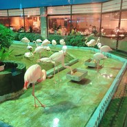 レストランメヒコ　守谷店