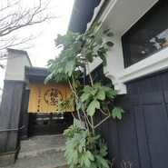ひつまぶし稲生 小牧小針店