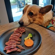 UNO cafe