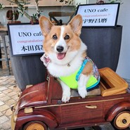 UNO cafe