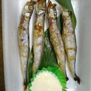 魚民 日暮里東口駅前店