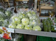 道の駅 八ッ場ふるさと館