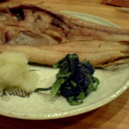 飲食笑商何屋ねこ膳