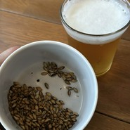 NIHONBASHI BREWERY. T.S