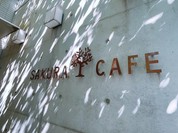 サクラ カフェ