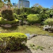 日本料理　雲海