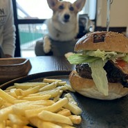 コーギーバンズバーガー