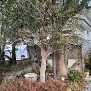 葡萄屋蔵ぶ