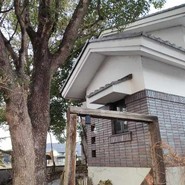 葡萄屋蔵ぶ
