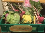 洋食&バル グローナヴェ