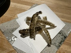 八角の皮センベイ