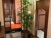 日本料理 まめ福