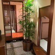 日本料理 まめ福