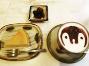 ペンギン カフェ