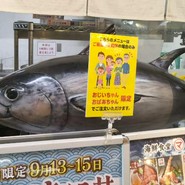 寝技食堂 〆技一本！ まぐろ道場