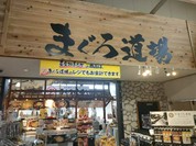 寝技食堂 〆技一本！ まぐろ道場