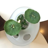 Ristorante　SUGIYAMA