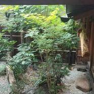 鮨処　すさび湯