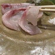 のどぐろ専門 銀座中俣 極