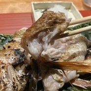 のどぐろ専門 銀座中俣 極