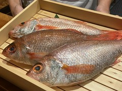 のどぐろ専門 銀座中俣 極