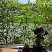 季節料理 藤井