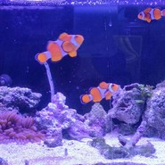 海陽閣