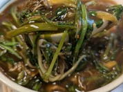 泰明庵