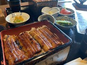 うなぎの 東海亭（とうかいてい）