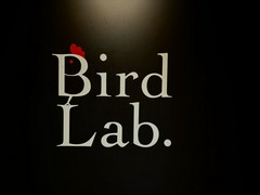 Bird Lab.