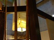 霧の森 茶フェ ゆるり