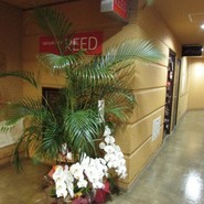 たこ焼きバー　REED