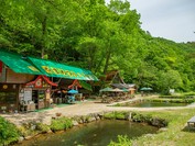 渓流茶園