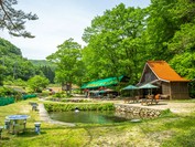 渓流茶園