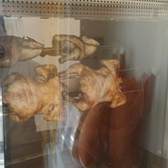 JOY ROASTER