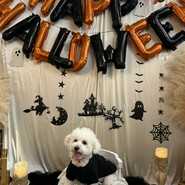 わん!リトルガーデン