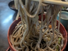 献上そば　羽根屋本店