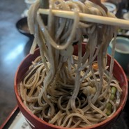 献上そば　羽根屋本店
