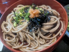 献上そば　羽根屋本店